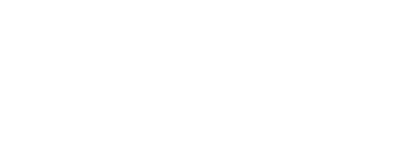 Basketball Festival Shop