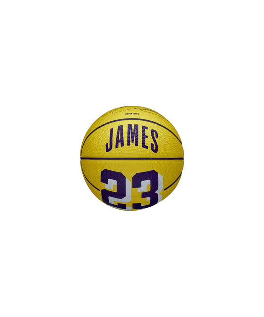 Lebron James NBA Icon Mini